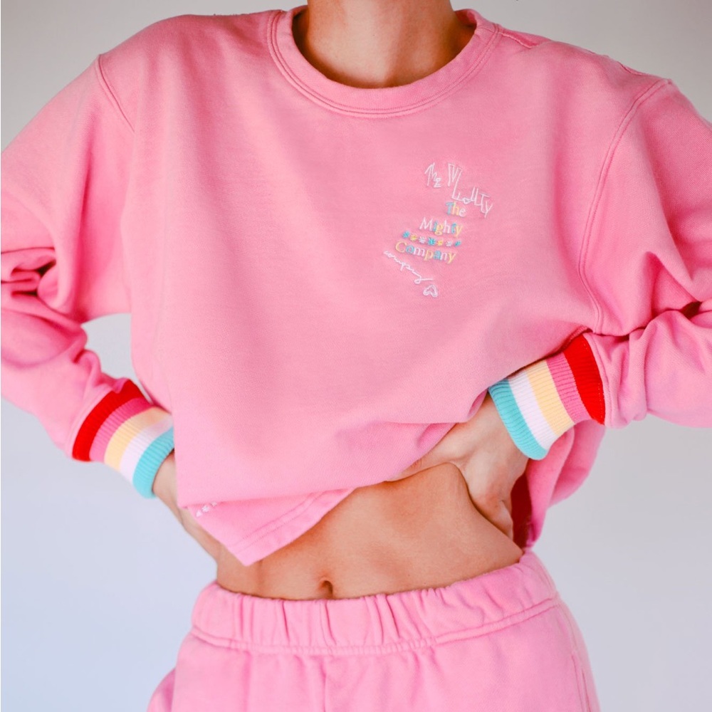 THE MIGHTY COMPANY • PINK / RAINBOW • CROP TOP • SWEATSHIRT • S/M • LIKE NEW